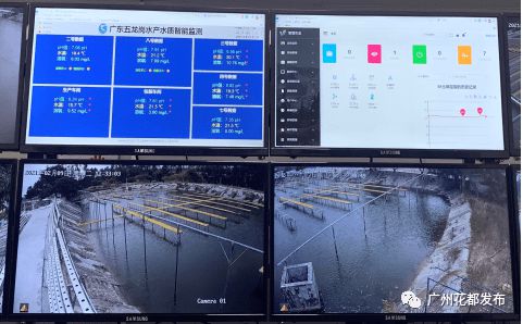數字賦能 花都開啟現代農業4.0時代，互聯網銷售引領產業新變革